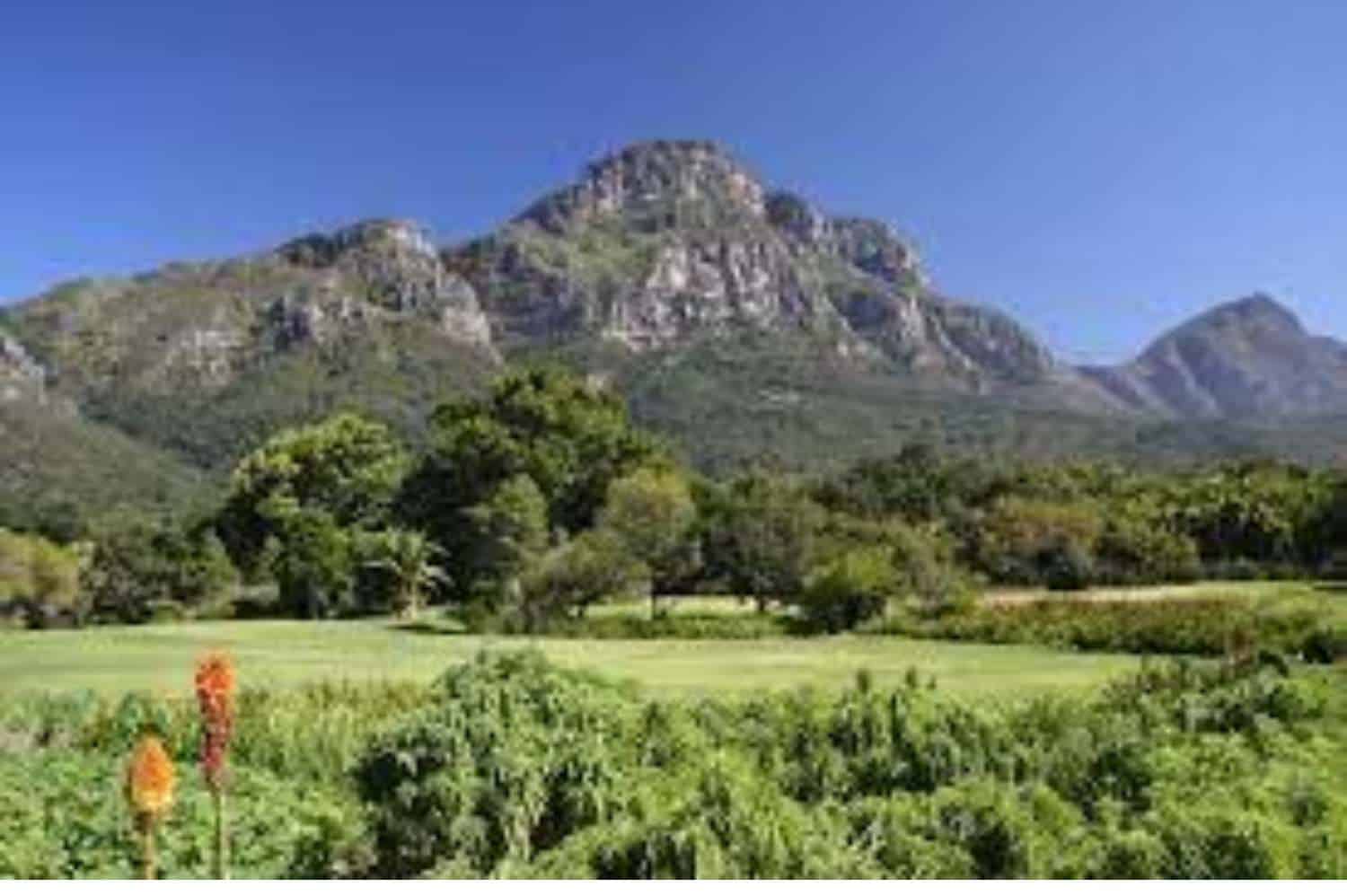 Kirstenbosch Botanical garden