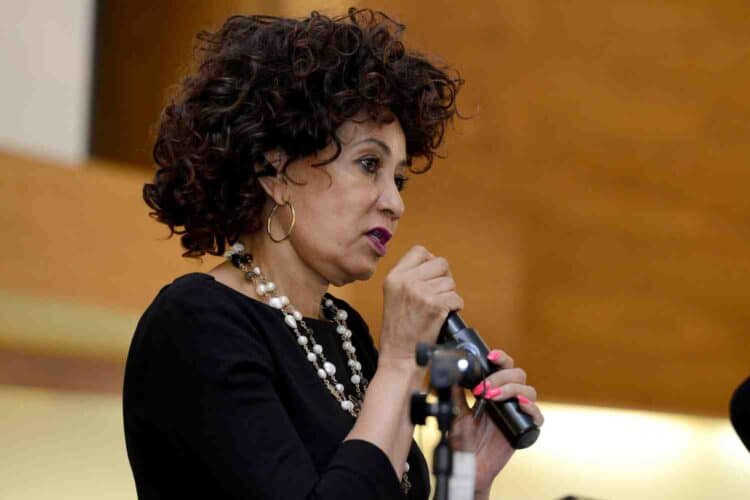 lindiwe sisulu open letter land reform