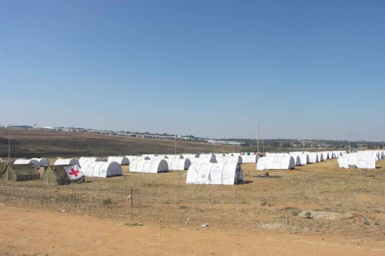 immigration laws south africa