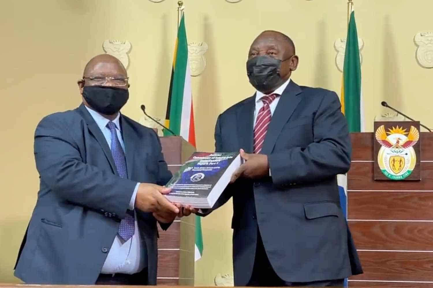 state capture report