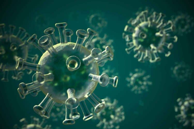 covid-19 variant eg.5 eris South Africa