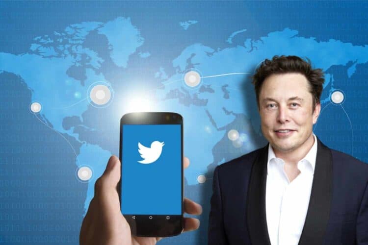 elon musk twitter spam
