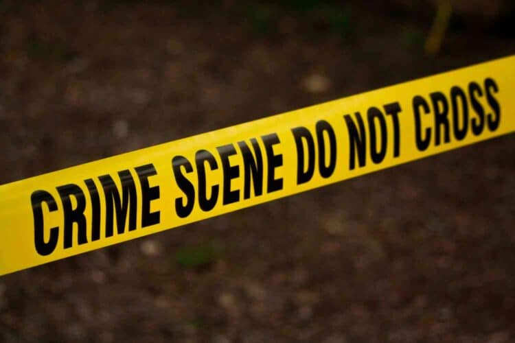 2022 crime statistics veziwe ntsizela lusikisiki