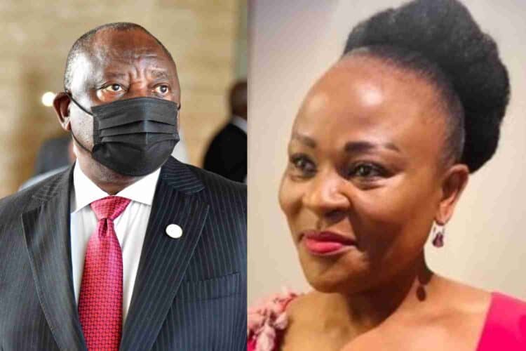 busisiwe mkhwebane suspension public prot
