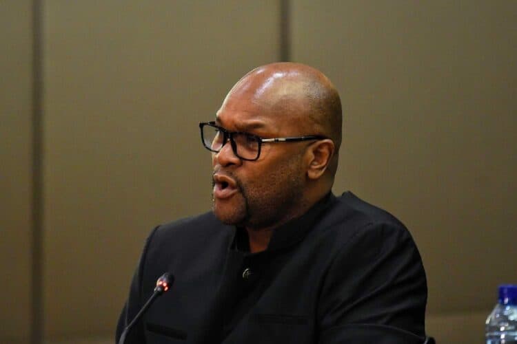 nathi mthethwa national philharmonic orchestra