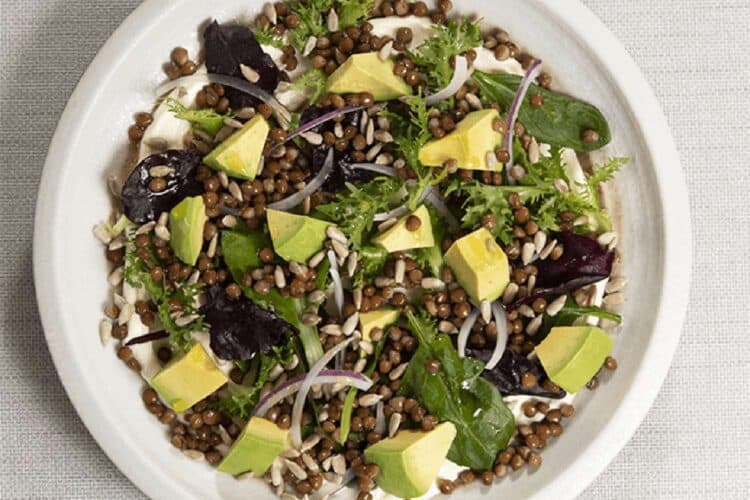 avocado lentil salad