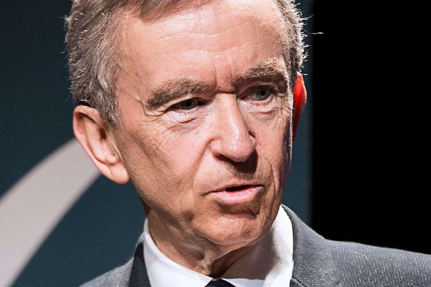 who is bernard arnault richest man in the world elon