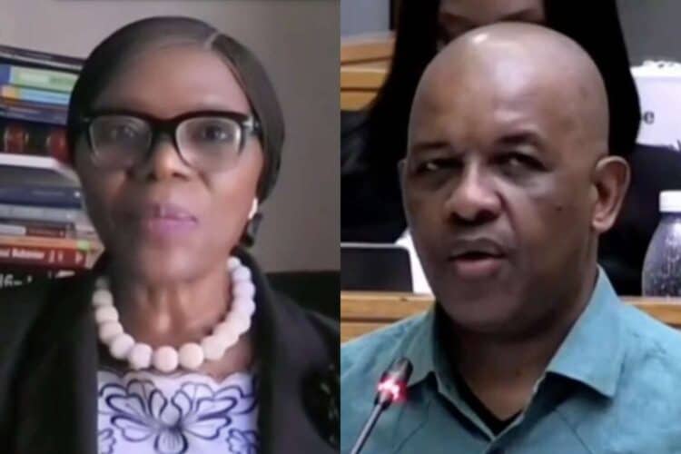 thuli madonsela credentials dali mpofu advocate
