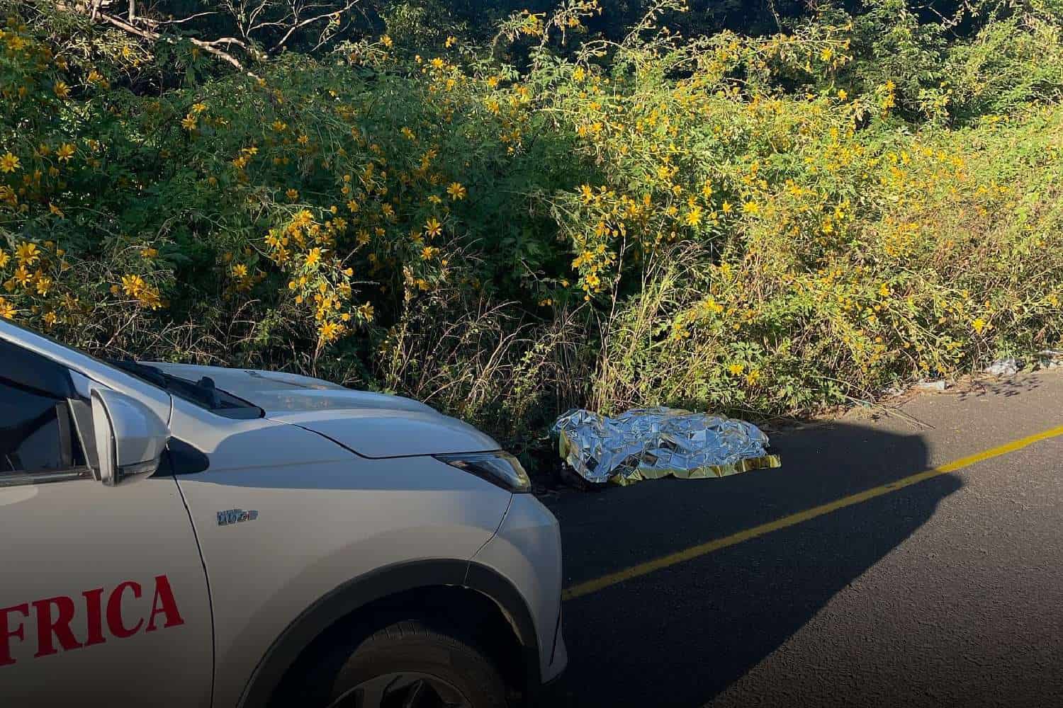 buffelsdraai accident