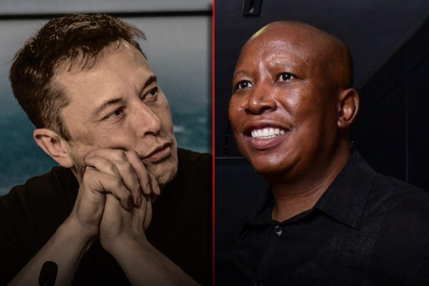 elon musk kill the Boer reactions off Julius malema