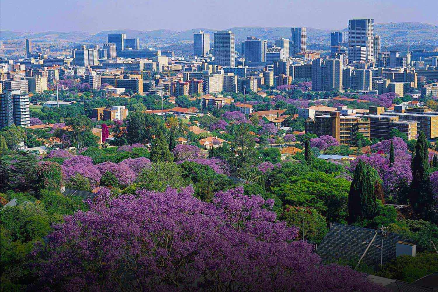 gauteng travel guide when to visit places to visit safety suggestions pretoria