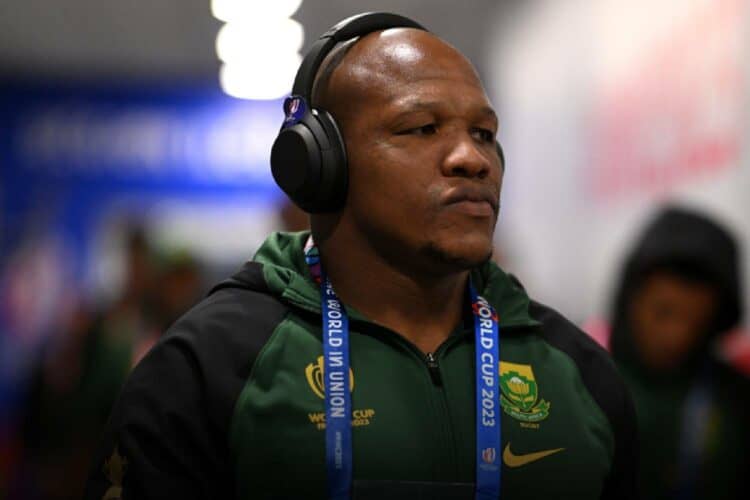 bongi mbonambi springboks squad