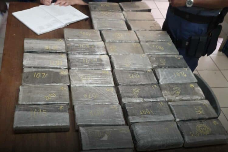 gqeberha seaport cocaine r55 million