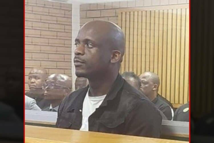 mdumiseni zuma 2021 July riots 12 year sentence