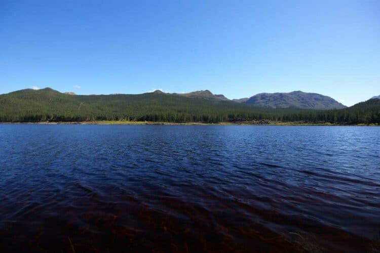 Cape Town Western Cape dam levels