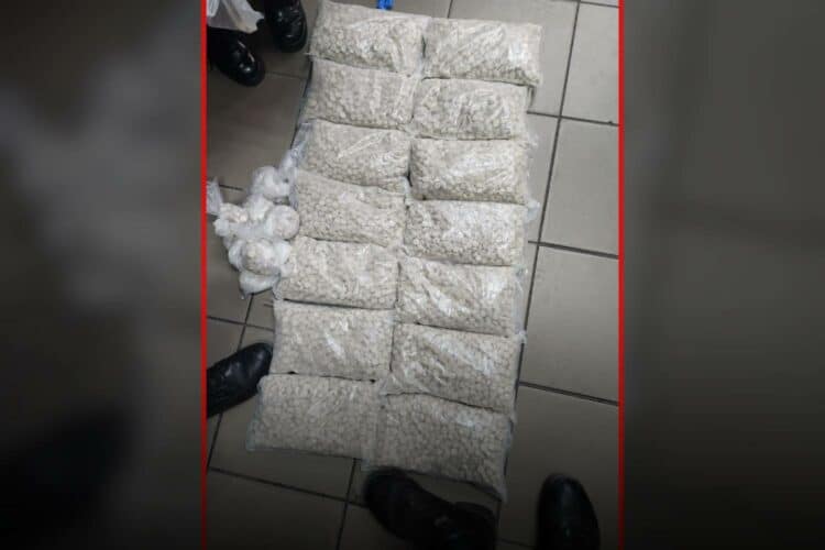 Gugulethu drug queen woman bust