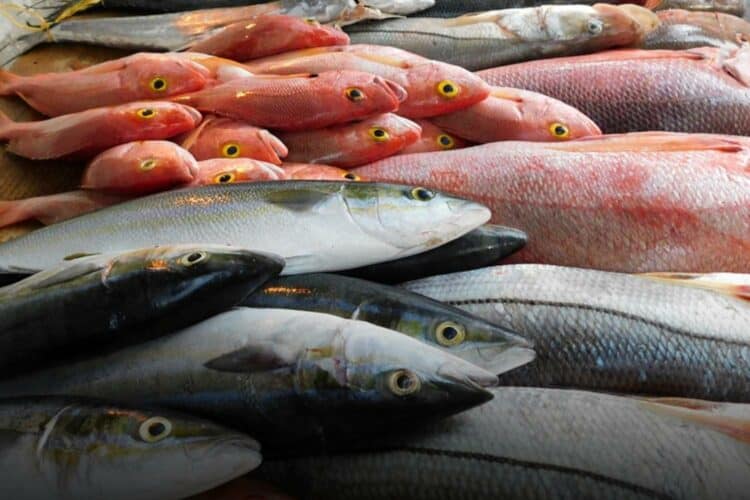 plant-based seafood benefits