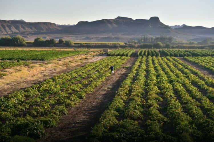 what is expropriation bill