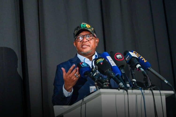 fikile mbalula anc coalition talks