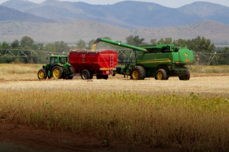 limpopo farm murders