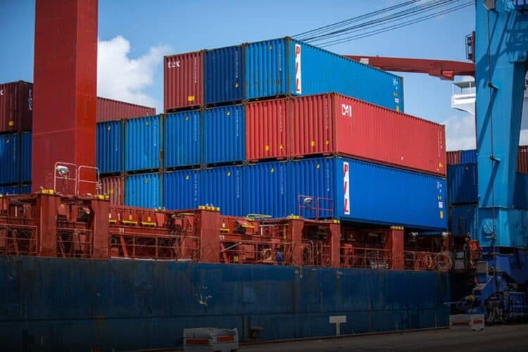 sars customs import system