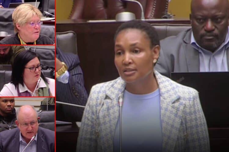 thembisile simelane vbs loan