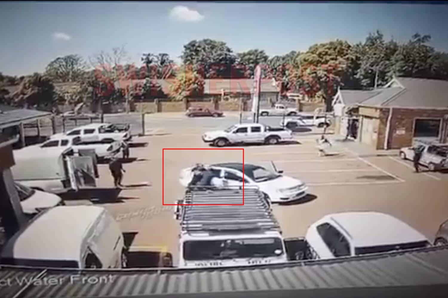 woman attacks suspect