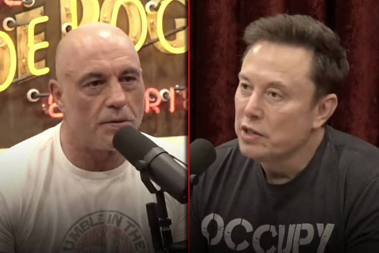 Joe rogan elon musk interview trump