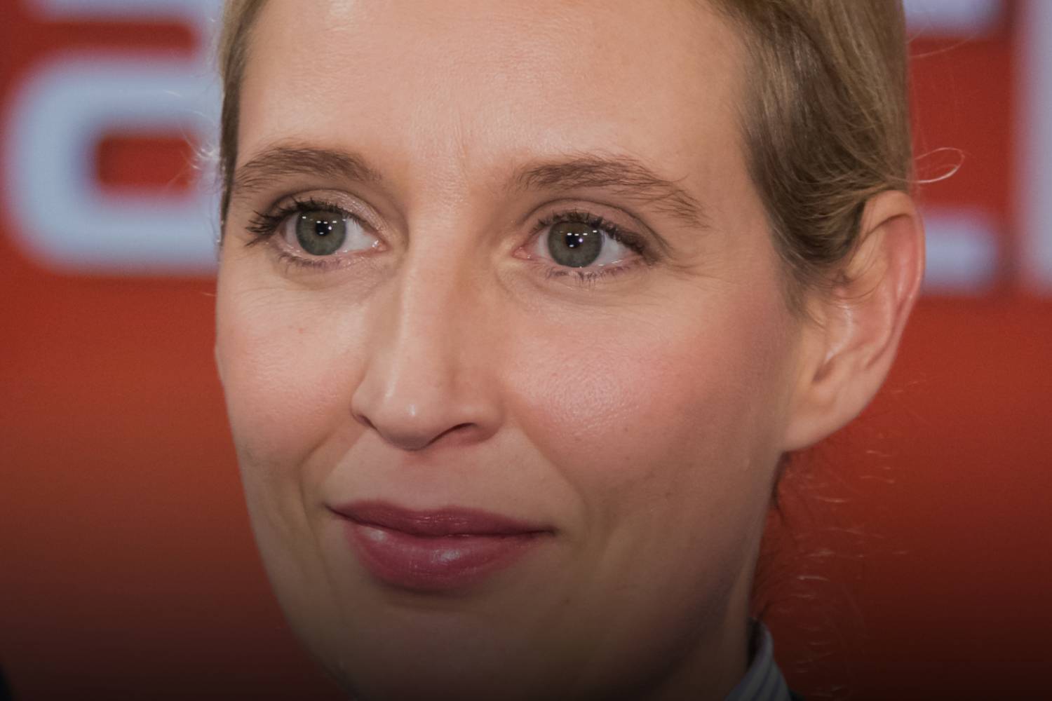 who is Alice weidel