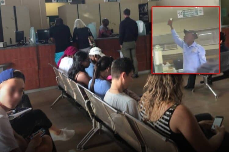 randburg home affairs pepper spray video