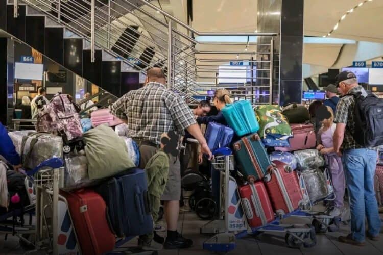 49 afrikaners migrate refugees us