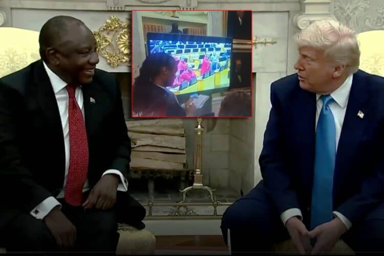 Cyril Ramaphosa Donald trump Julius malema