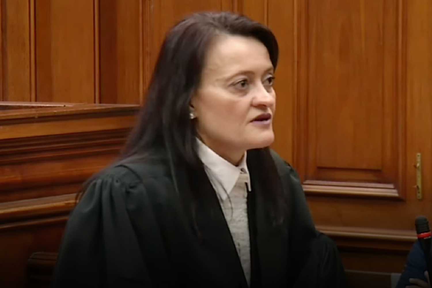 advocate Zelda swanepoel