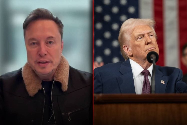 elon musk donald trump