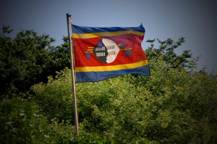 eswatini flag
