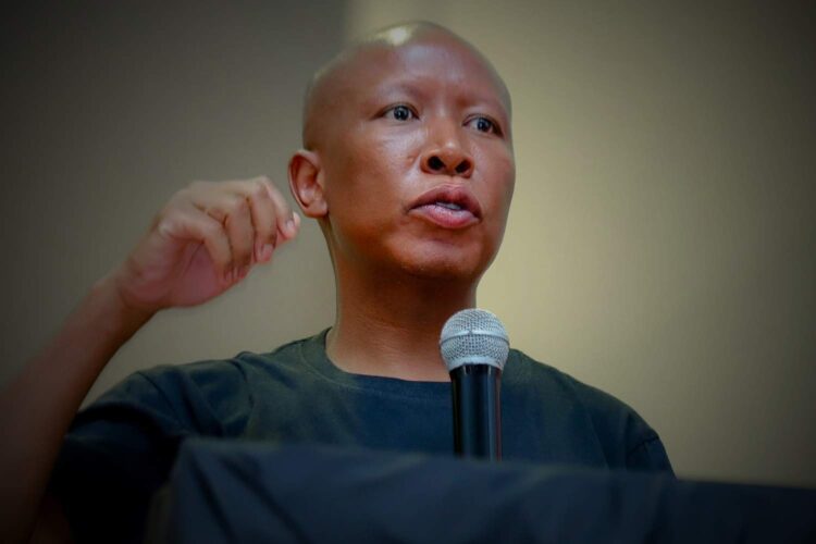 julius malema firearms discharge case