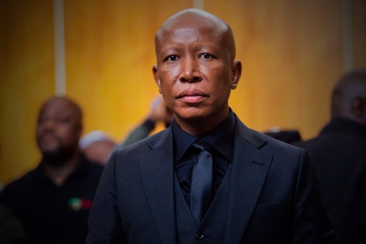 julius malema judgment firearms case