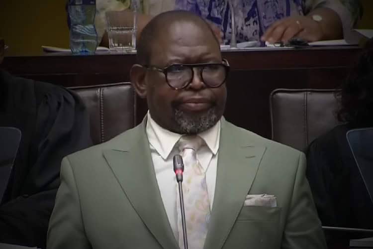 enoch godongwana medium term budget policy statement 2025