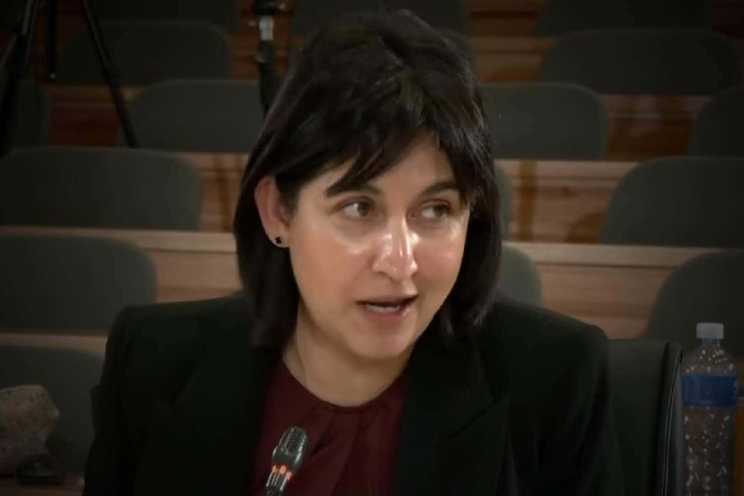 madlanga commission 14 november 2025