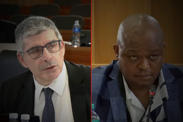 madlanga commission brown mogotsi 19 november 2025