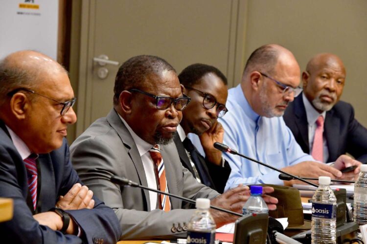 enoch godongwana lesetja kganyago