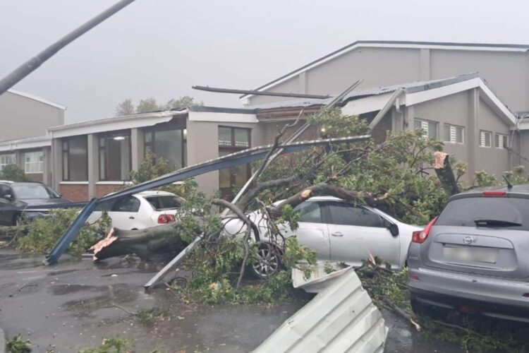 western cape schools closed may 12 2026