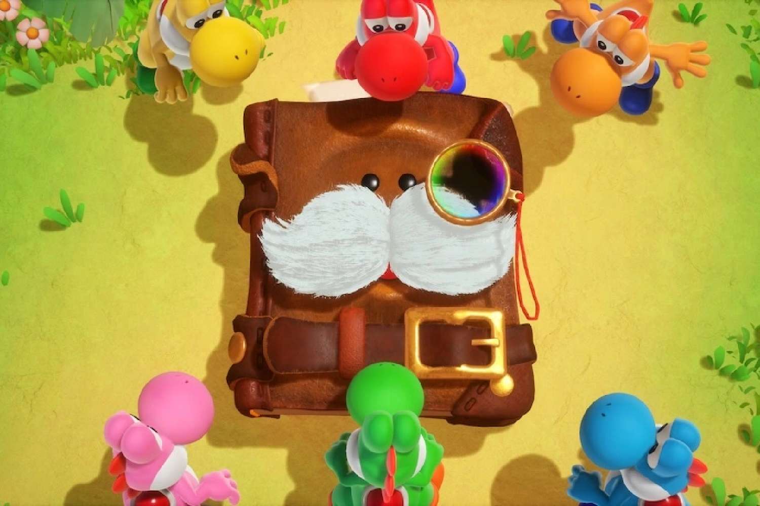 yoshi and the mysterious book switch 2