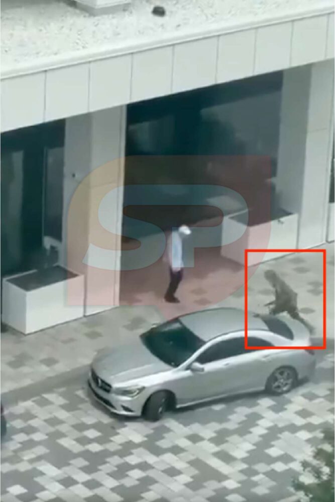 montreal hotel shooting killer 1