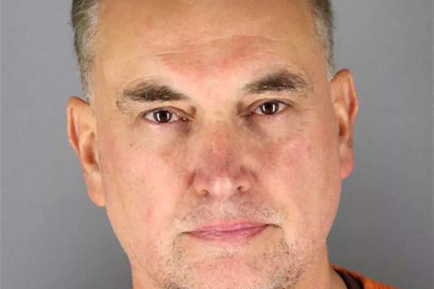 vance boelter guilty plea life sentences