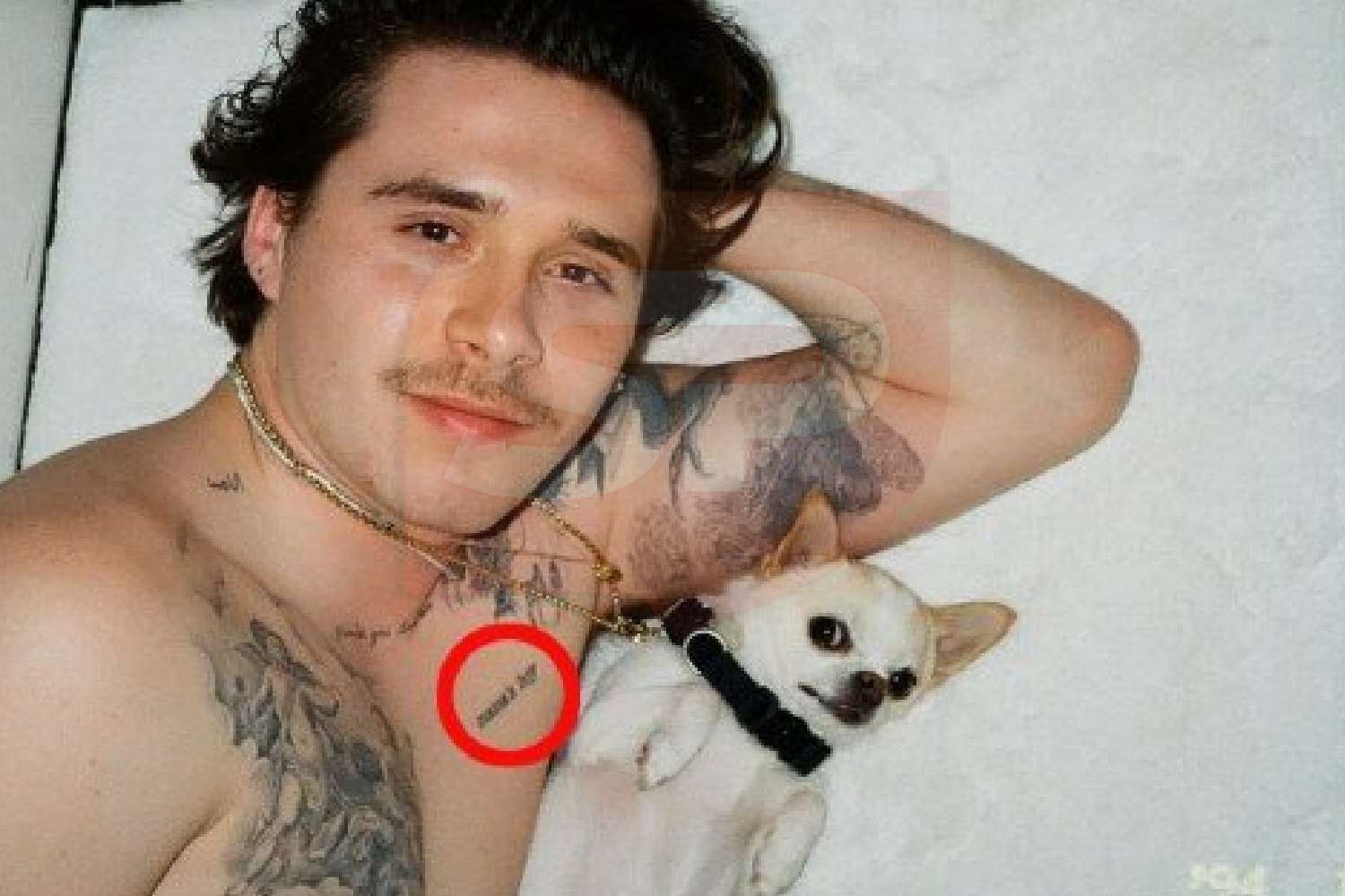 brooklyn beckham tattoo cover up estranged family 2