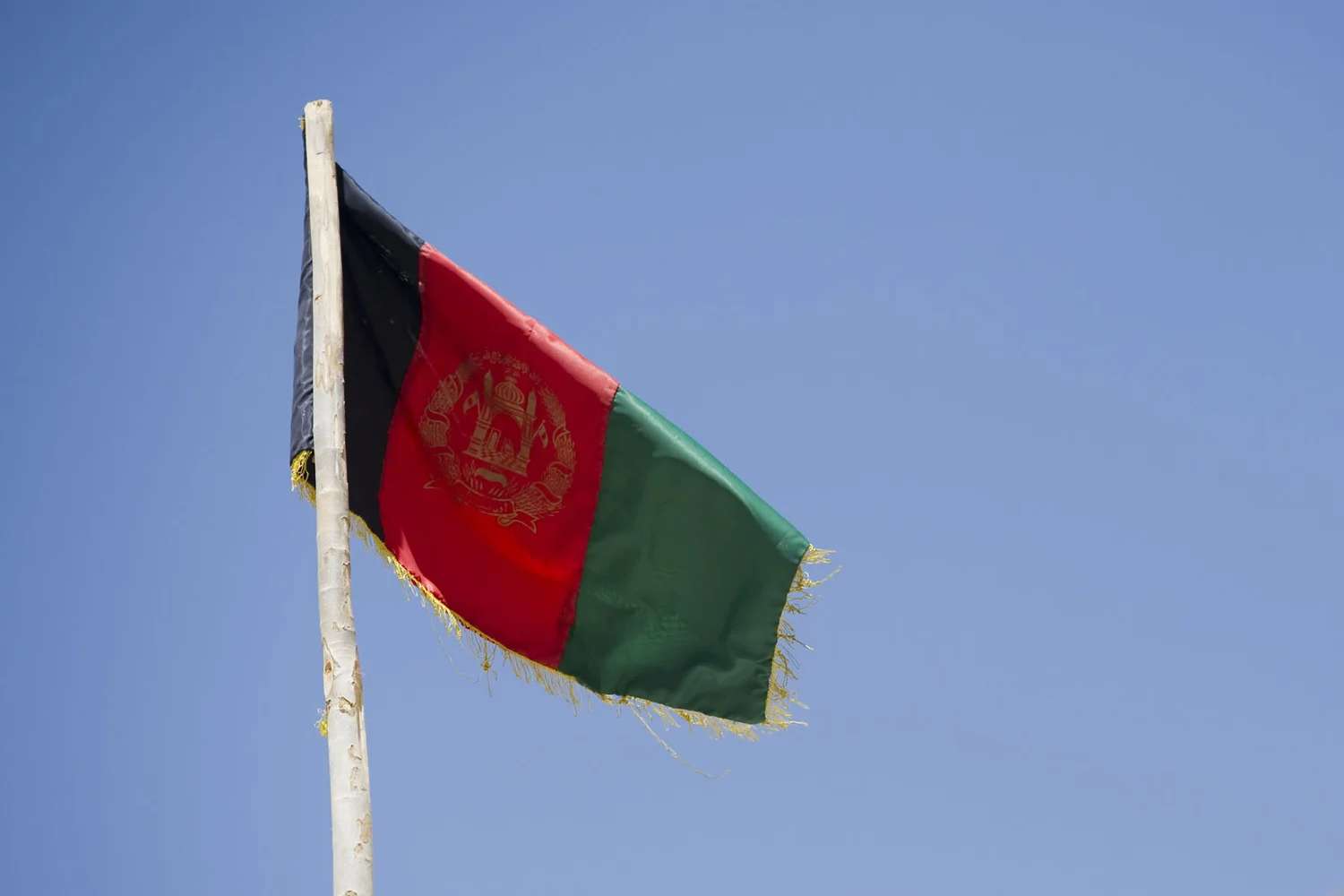 ireland afghanistan cricket series boycott row