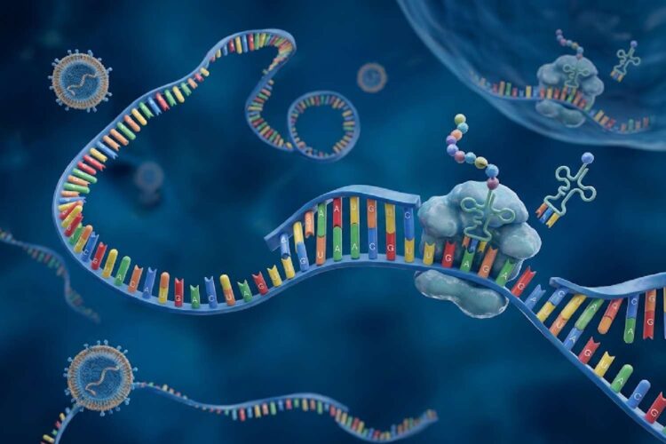 mrna cancer vaccine wave moderna merck