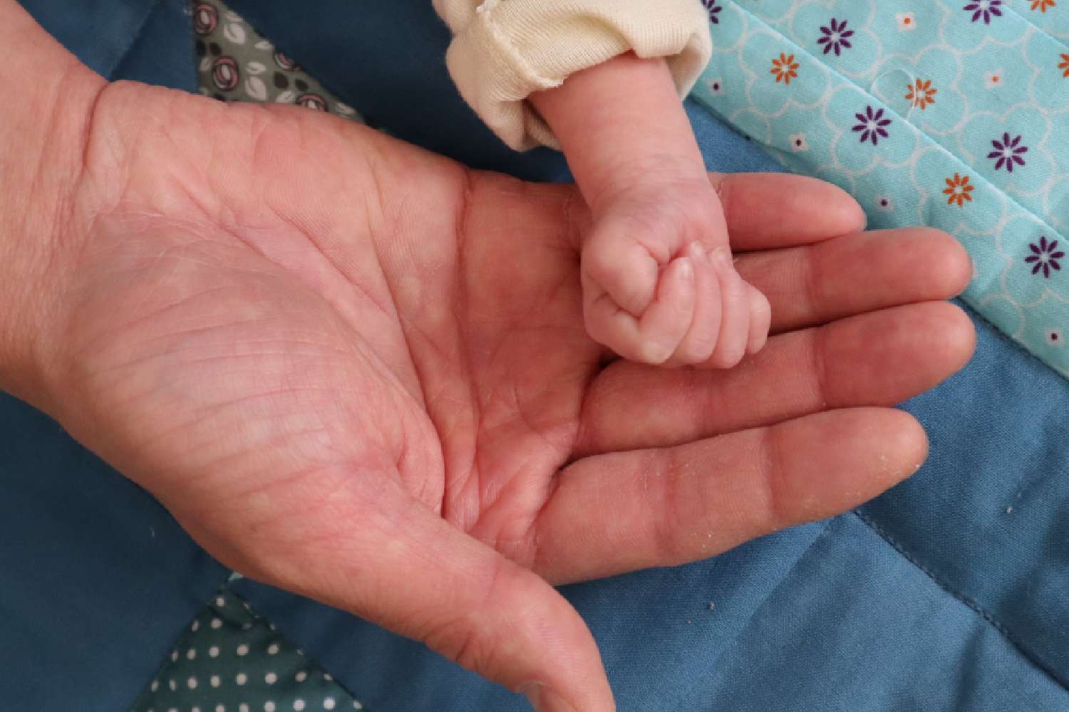 texas surrogate baby custody dispute dallas birth