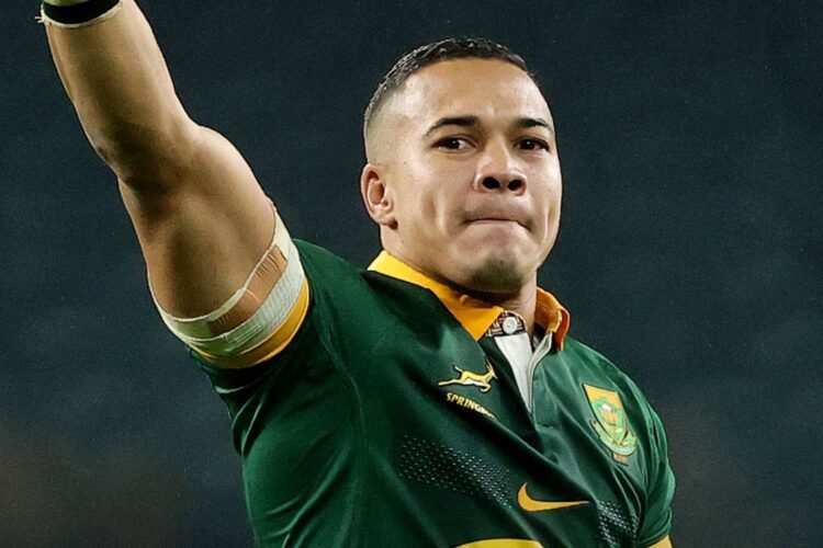 cheslin kolbe broken jaw injury